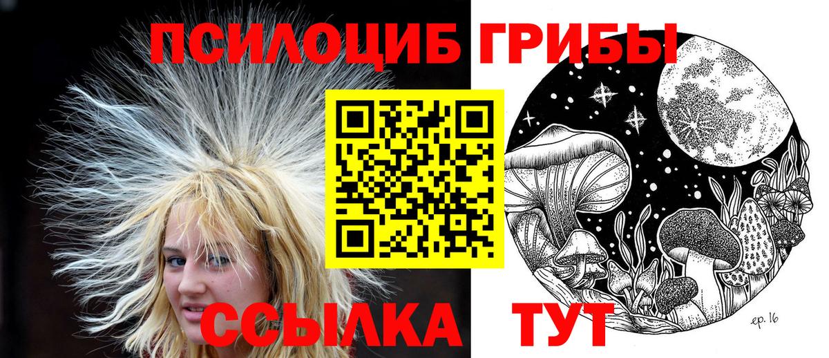 Псилоцибиновые грибы прущие грибы  Вход с VPN  Кимовск  Псилоцибиновые грибы ЛСД 